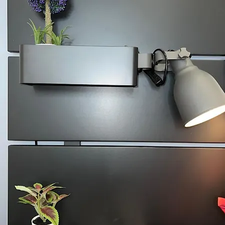 Appartamento Doremi *